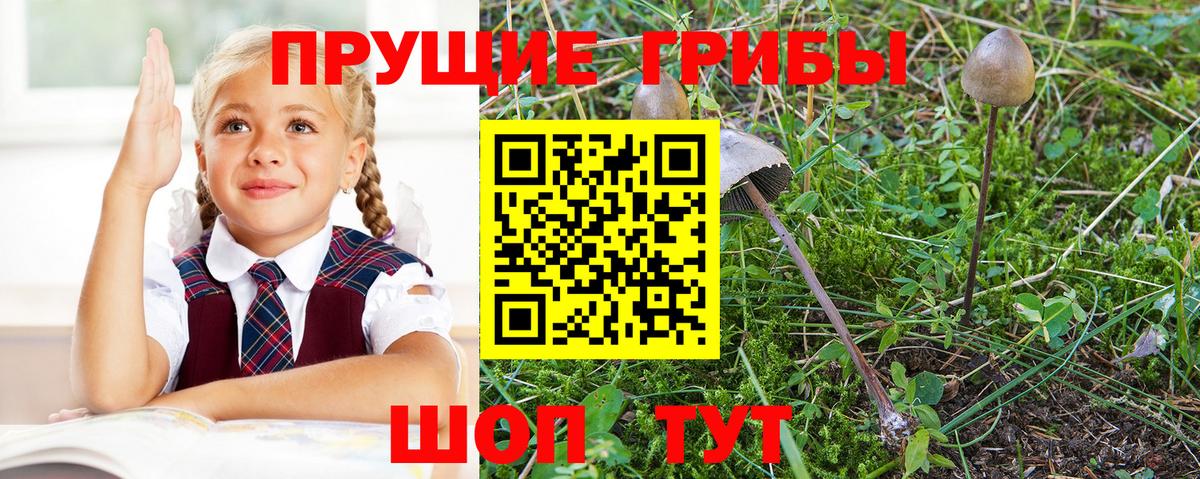 Воркута  Псилоцибиновые грибы MAGIC MUSHROOMS  что такое наркотик  Вход с VPN 