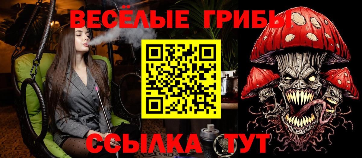 Галлюциногенные грибы Psilocybine cubensis Воркута